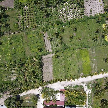 Thila Farm View Hotel Thoddoo Luaran gambar