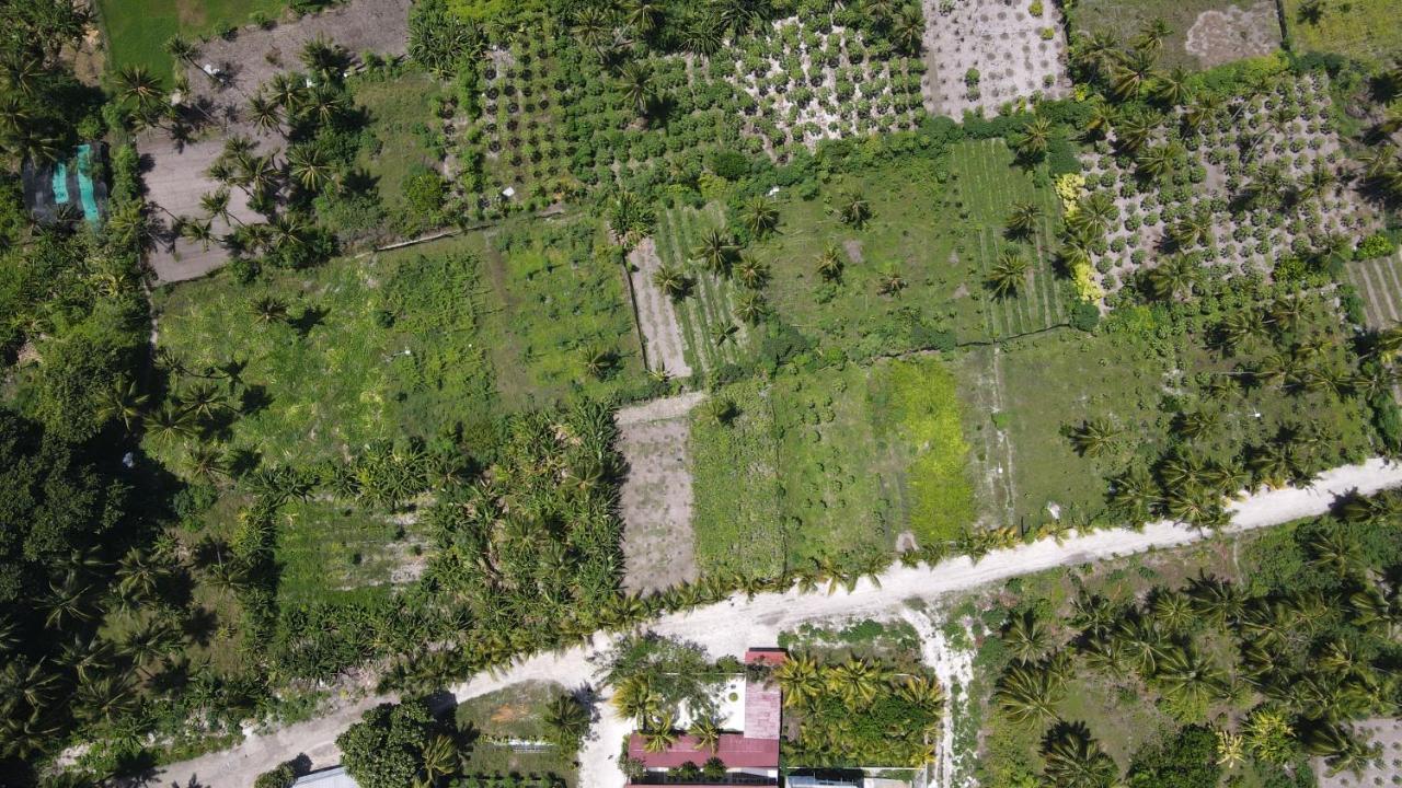 Thila Farm View Hotel Thoddoo Luaran gambar