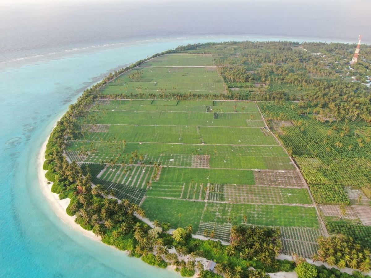 Thila Farm View Hotel Thoddoo Luaran gambar
