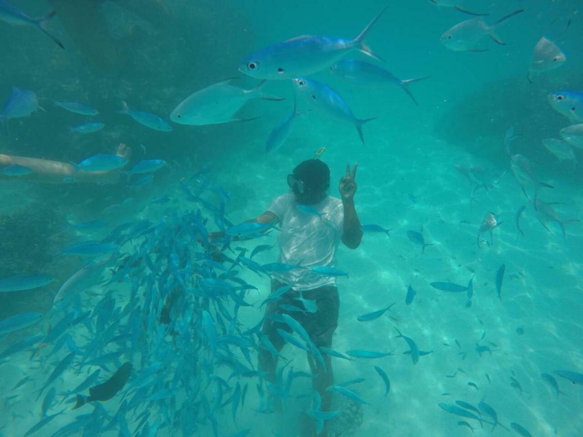 Thila Farm View Hotel Thoddoo Luaran gambar